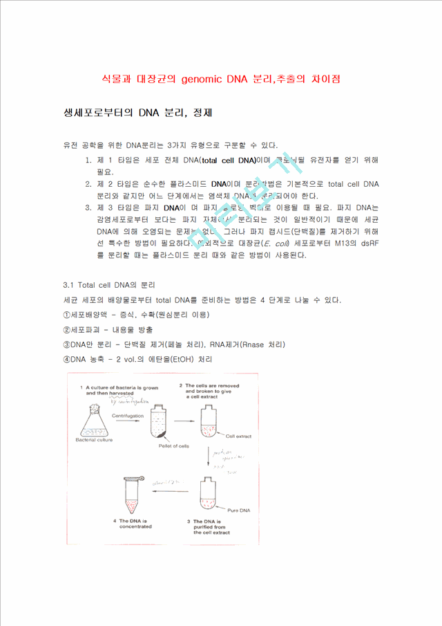 [의학,약학] [미생물학 실험] 세포로부터의 DNA 분리, 정제.hwp